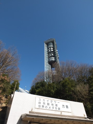 Higashiyama130153.jpg