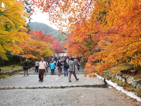 Kyoto1211043.jpg