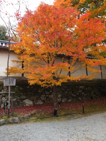 Kyoto1211044.jpg