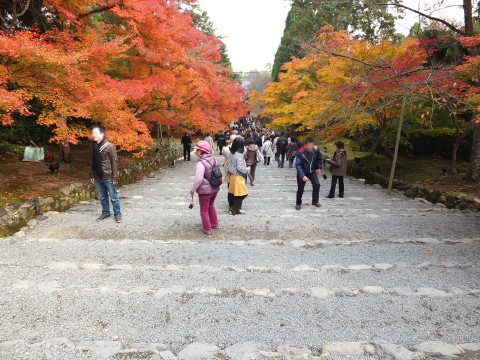 Kyoto1211045.jpg