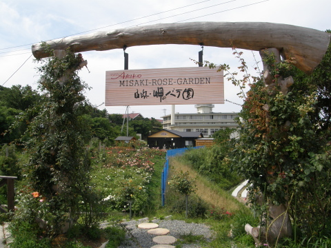 Shirahama47.jpg